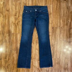 GUESS JEANS Doheny Women’s Blue Gray Flare Bootcut Jean Size 28